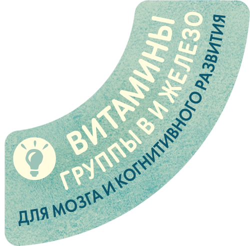 Витамины группы B и железо