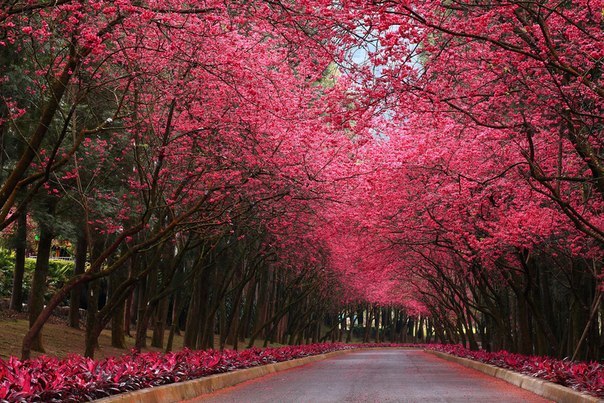 Тест видео и аудио вебинара