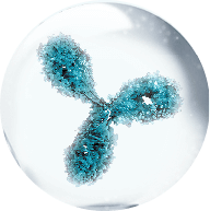 иммуноглобулины