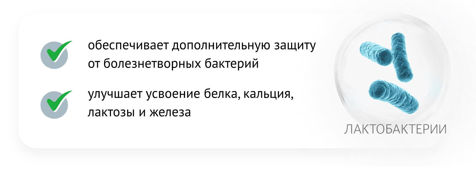 BIO-ферментация