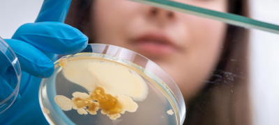 Что нужно знать о микрофлоре кишечника и как наладить пищеварение малыша?